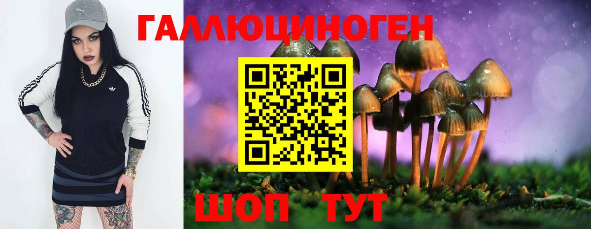 Галлюциногенные грибы GOLDEN TEACHER Моршанск
