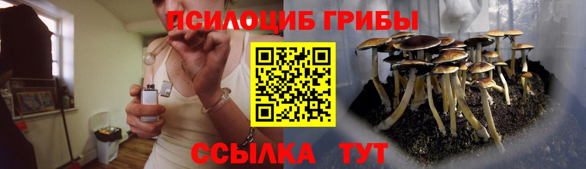 Моршанск  Галлюциногенные грибы мухоморы  Вход с VPN 